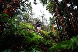 BIB: 
                            <button type="button" onclick="openModal(26201257)" class="btn btn-primary btn-sm float-right btn-popup" data-toggle="modal" data-target=".modal-high-quality">
                        <i class="fas fa-shopping-cart"></i> Add to Cart
                    </button>
                                            <button type="button" onclick="isThisMe(26201257, true)" class="btn btn-success btn-sm float-right btn-popup btn-isme hidden" data-toggle="tooltip" data-placement="bottom" title="นี่คือรูปของคุณใช่ไหม คลิกที่นี่เพื่อเอาเข้าอัลบั้ม">
                        <i class="fas fa-plus"></i> Add to album
                    </button>
                    <button type="button" onclick="isThisMe(26201257, false)" class="btn btn-warning btn-sm float-right btn-popup btn-isnotme hidden">
                        <i class="fas fa-ban"></i> Remove from album
                    </button>